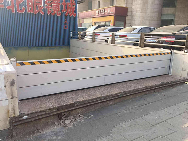 6223174a1d2e2.jpg 01.jpg