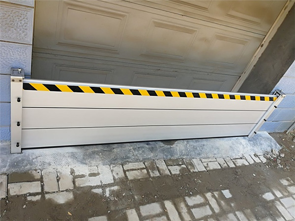 64337a4a2f752.jpg 01.jpg